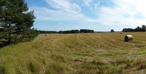 PODLASIE